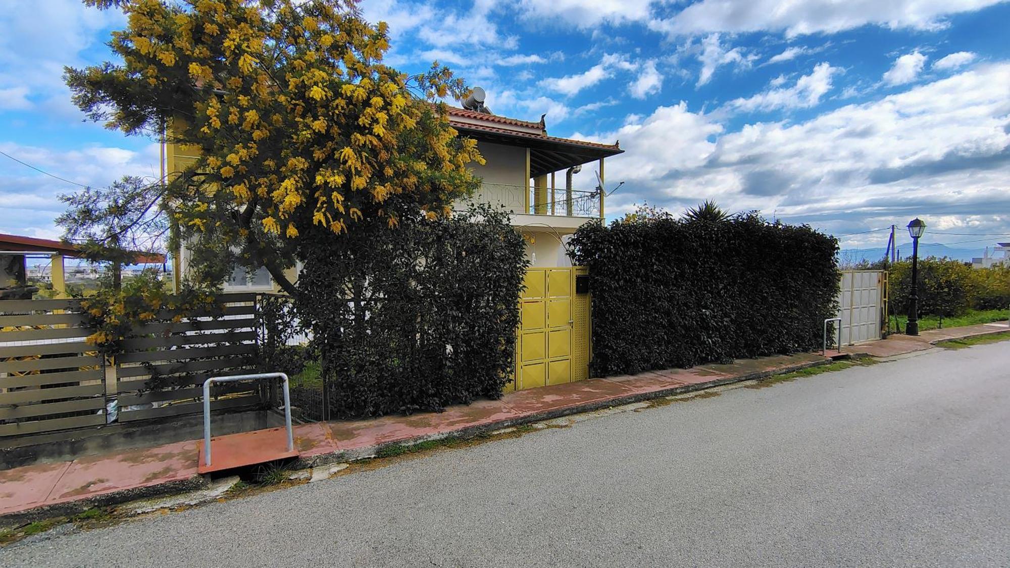 Katia 'S Country House Sikion Exterior foto